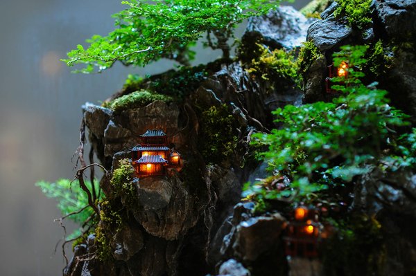 Coffret de rhum et de whisky: cadeaux d'exception